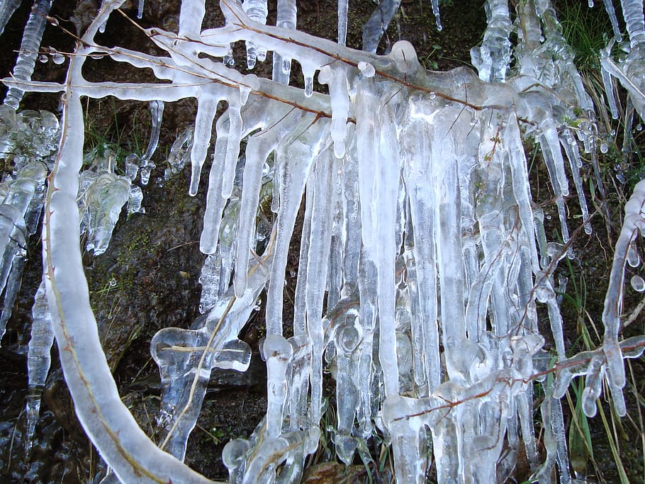 winter, ice, cold, snow, frost, white, mountain, trees, frozen HD wallpaper