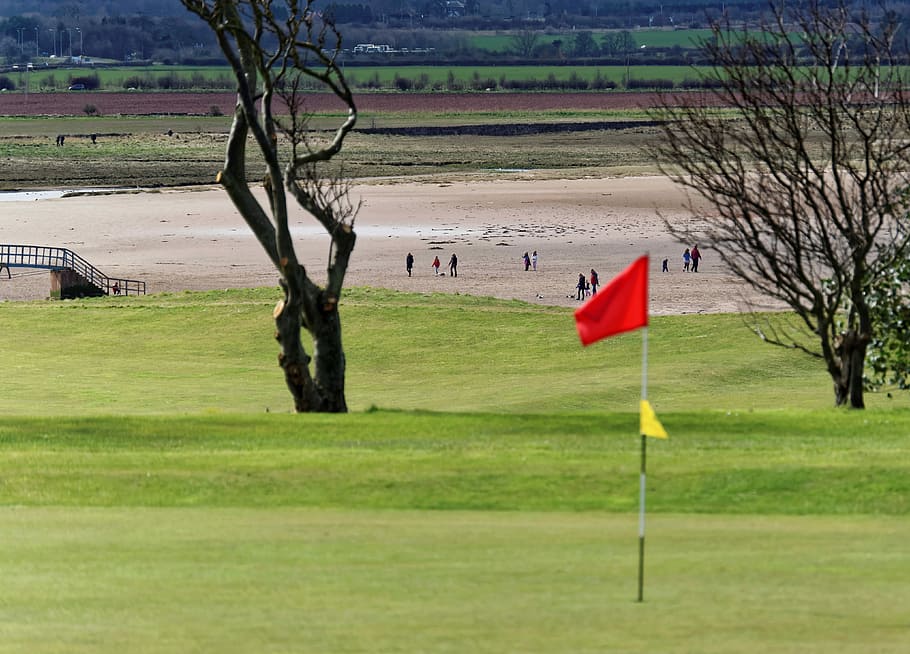 Golf Course, Grass, green, sport, sky, game, nature, landscape HD wallpaper