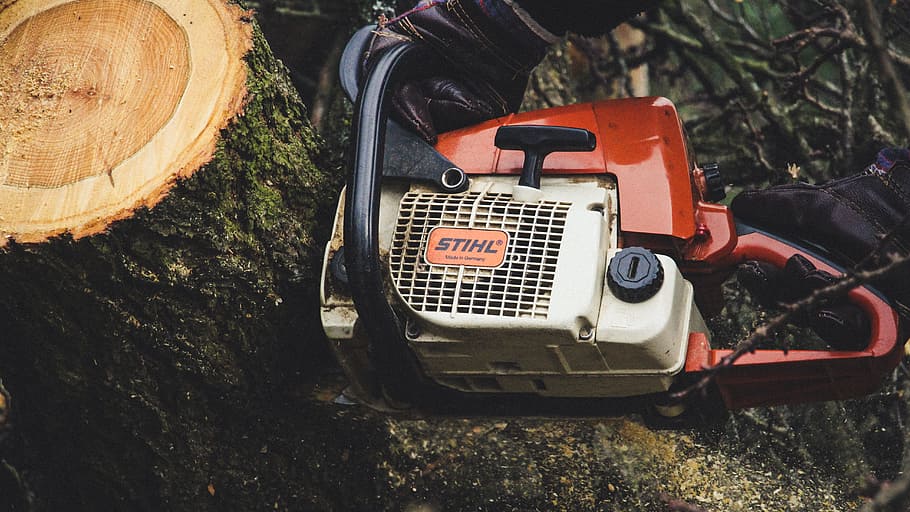 tree, tree trunk, machine, equipment, chainsaw, tool, day, nature HD wallpaper