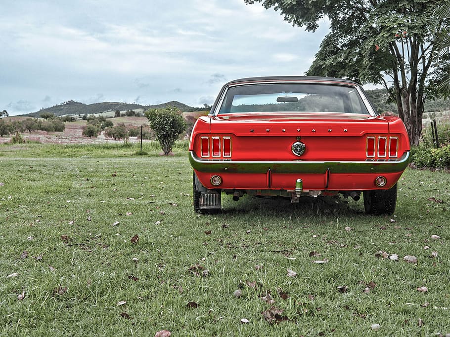 red Ford Mustang parked on green grass field during daytime HD wallpaper