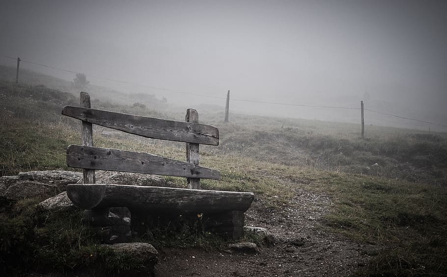 fog, rest, bank, mood, recovery, enjoy, nature, atmosphere HD wallpaper