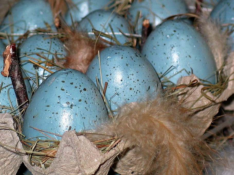 easter eggs, easter nest, spring, decoration, colorful, colorful eggs HD wallpaper
