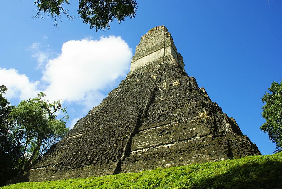 brown pyramid, Tikal, Maya, Rainforest, guatemala, ruins, day HD wallpaper