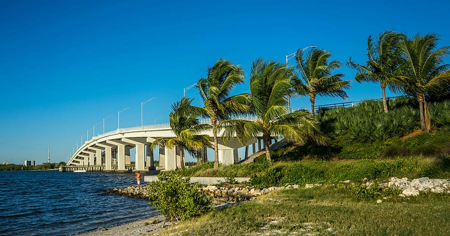 marco island, florida, bridge, palm trees, gulf, coastline, HD wallpaper