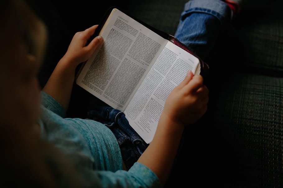 toddler girl reading a book at vehicle backseat, person reading a book HD wallpaper