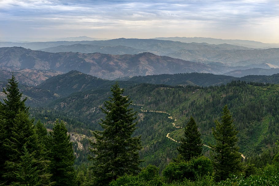 birdseye photo of mountain, bird's-eye view photography of pine trees HD wallpaper