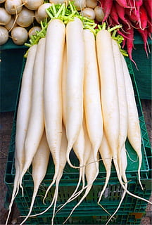 radish, root, vegetables, market, food, healthy, food and drink HD wallpaper