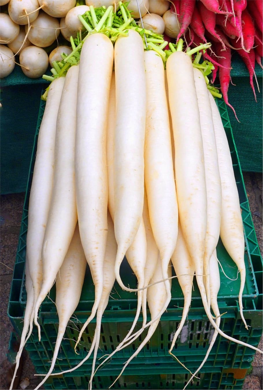 radish, root, vegetables, market, food, healthy, food and drink HD wallpaper