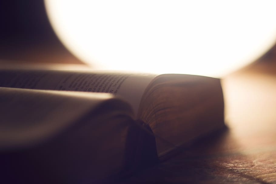 book under lamp, bible, blur, close-up, document, focus, light HD wallpaper