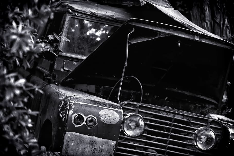 grayscale photography of abandoned vehicle, jungle, auto, lost HD wallpaper