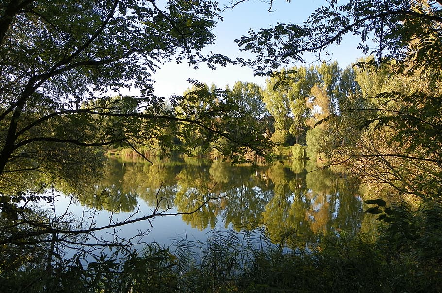 slötyi, lake, trees, nature, waterfront, lakeside, autumn HD wallpaper