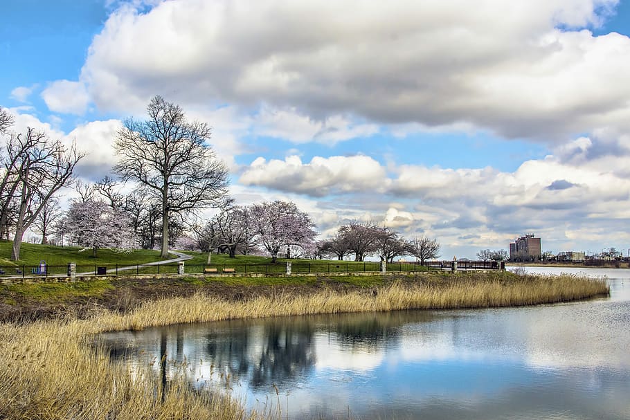 water, nature, reflection, tree, sky, druid hill park, baltimore HD wallpaper