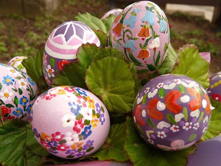 five assorted-color easter eggs on green leaves, paint, easter egg painting HD wallpaper