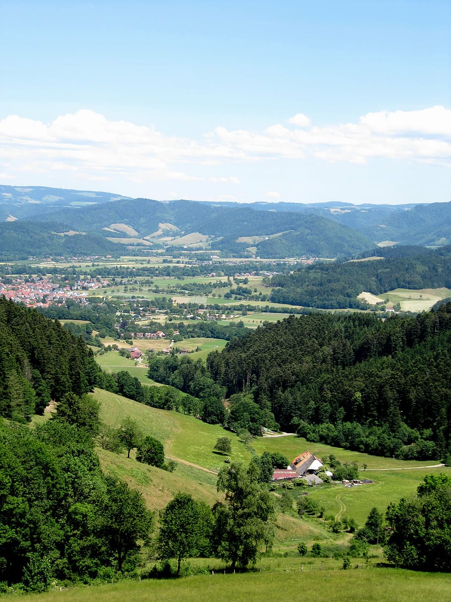 black forest, view, landscape, distant view, oberried, tree HD wallpaper