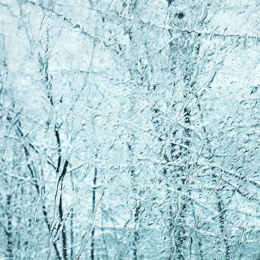 trees, winter, window, white, cold, forest, frost, winter trees HD wallpaper