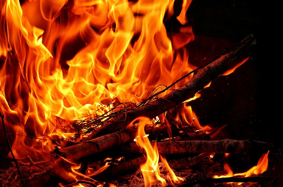 burning wood, fire, flame, carbon, hot, mood, campfire, fireplace HD wallpaper