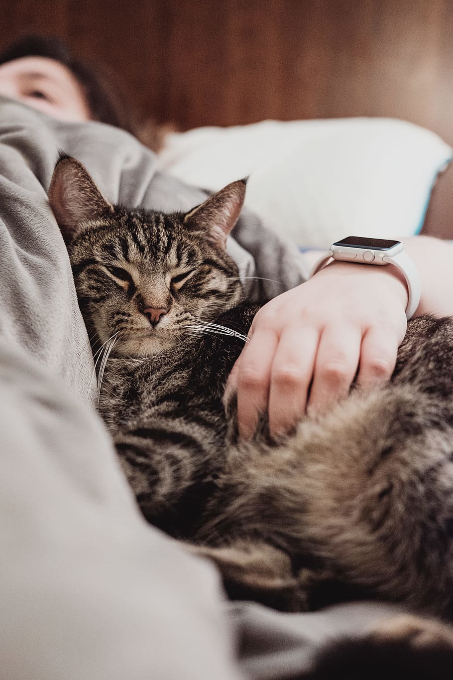 person holding gray tabby cat while lying on bed, woman lying beside black cat inside room, HD wallpaper