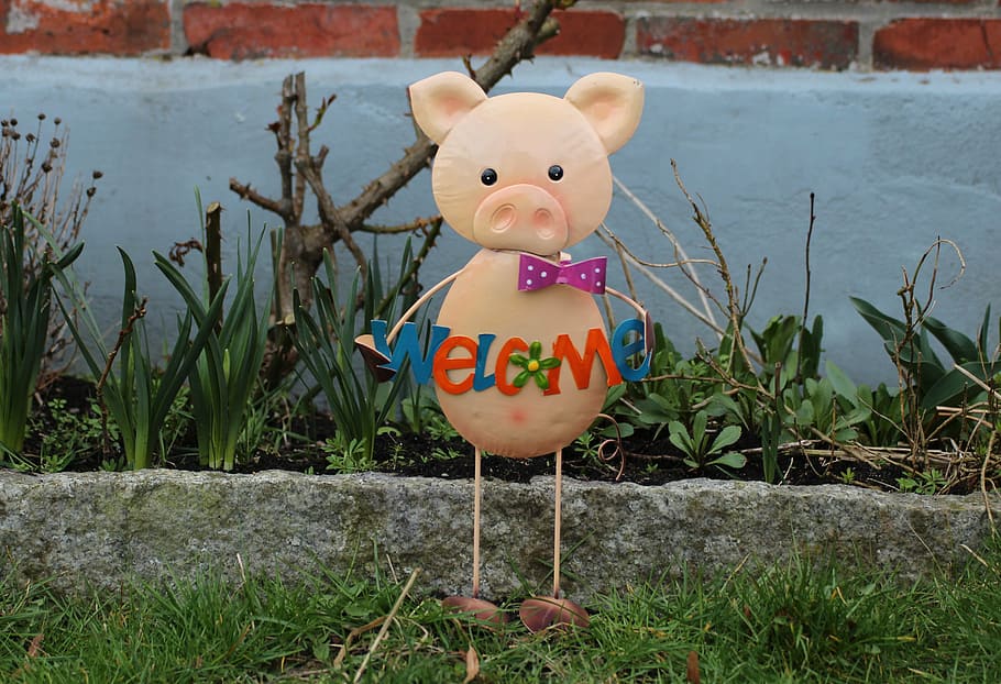figure, animal, pig, pig figurine, representation, plant, day HD wallpaper