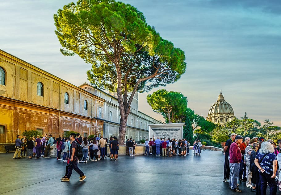 rome, italy, italian, tree, vatican, pope, travel, tourism, HD wallpaper
