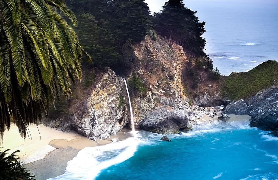 seashore near rock cliffs and tress, beach, california, coast, HD wallpaper