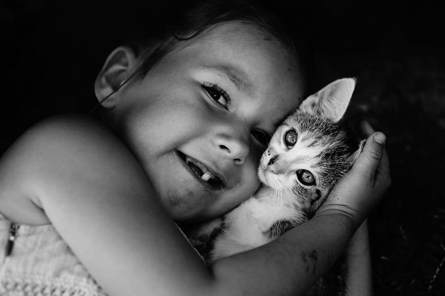 kitten, child, love, mammal, domestic, pets, one animal, one person HD wallpaper
