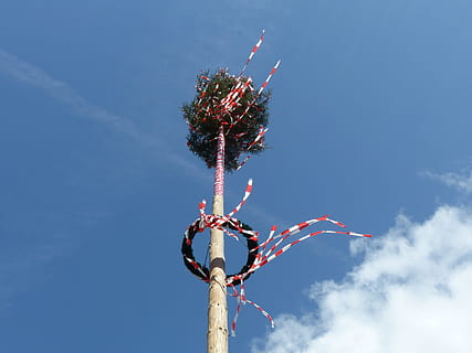 tall brown and green tree with garland wreath on trunk, maypole HD wallpaper