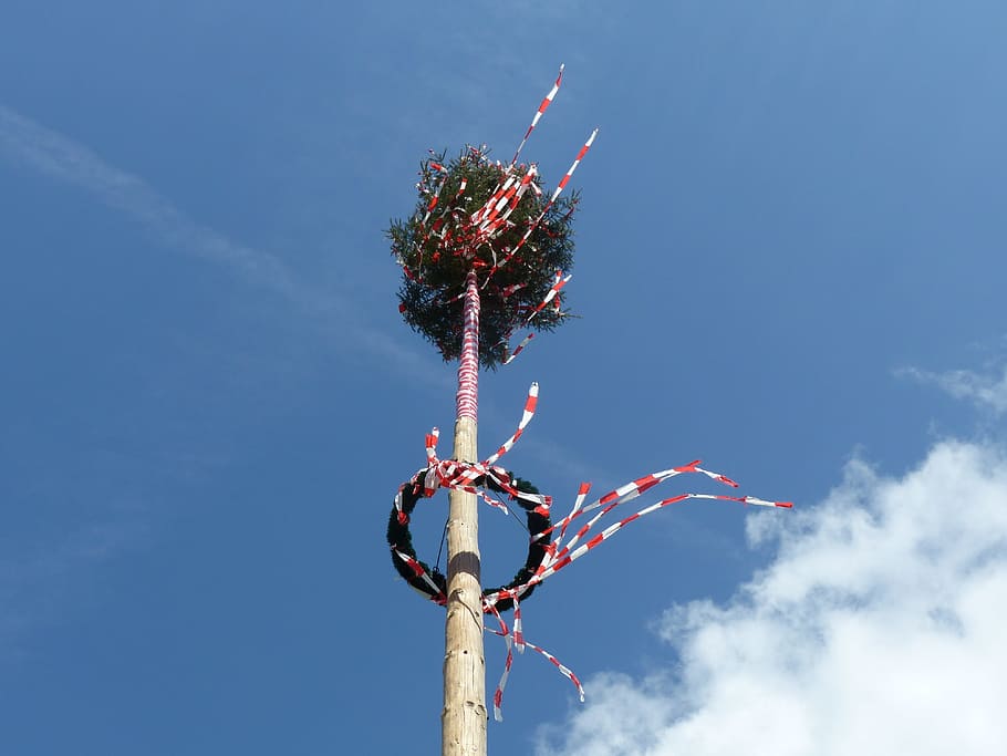 tall brown and green tree with garland wreath on trunk, maypole HD wallpaper