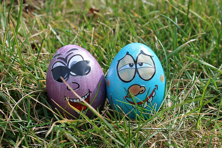 eggs, easter eggs, fun, humor, painted, lawn, grass, plant HD wallpaper