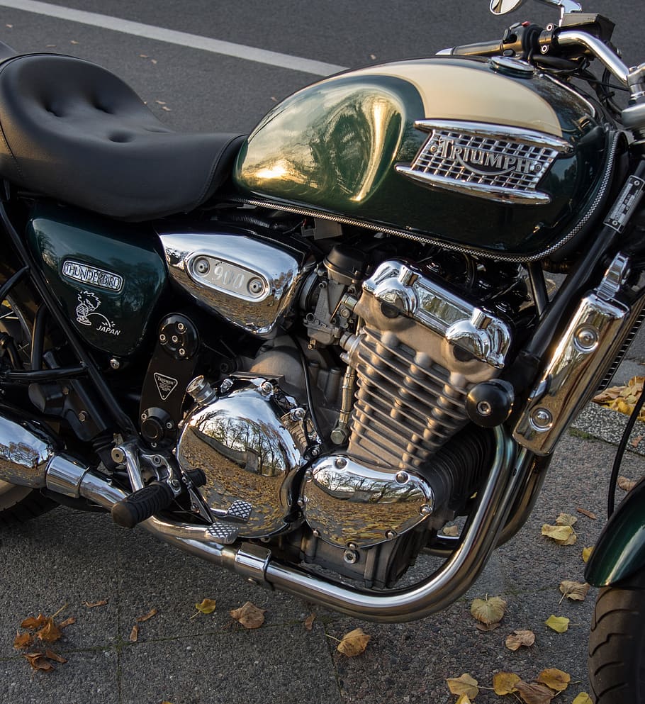 auto, triumph, motorcycle, thunderbird, chrome, vehicle, transport system HD wallpaper