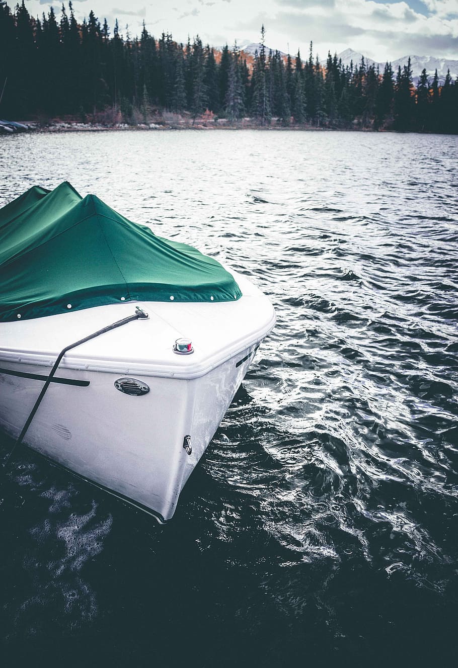 white and green motor boat on body of water, white yacht on body of water HD wallpaper