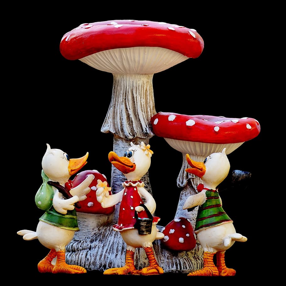 ducks, funny, group, mushrooms, cute, art stone, figure, plumage HD wallpaper
