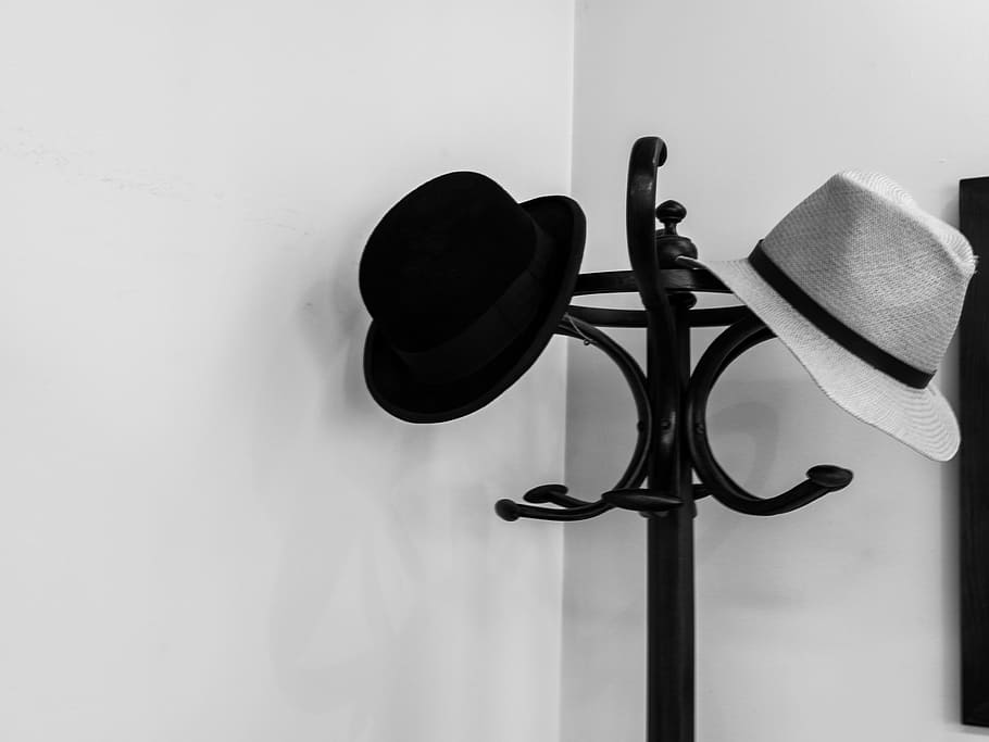 Hat, Coat Rack, Wing, Pet, Fashion, elegance, design, headdress HD wallpaper