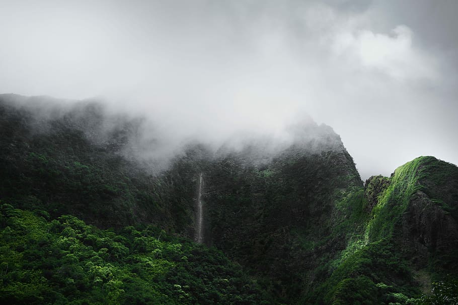 mountain covered with fogs, green leaf trees under white clouds at daytime HD wallpaper