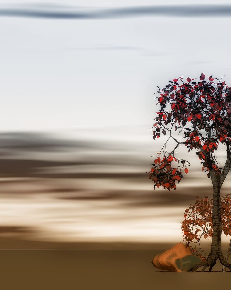 landscape, tree, stone, nature, red, evening, mood, background HD wallpaper