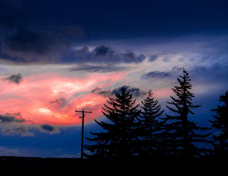 Sunset, Trees, Landscape, Summer, outdoor, sunlight, scene HD wallpaper
