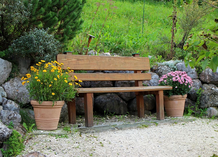 brown wooden bench between purple and yellow chrysanthemums, seat