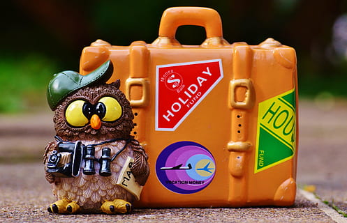 owl figurine beside lunch box, tourist, map, binoculars, camera HD wallpaper