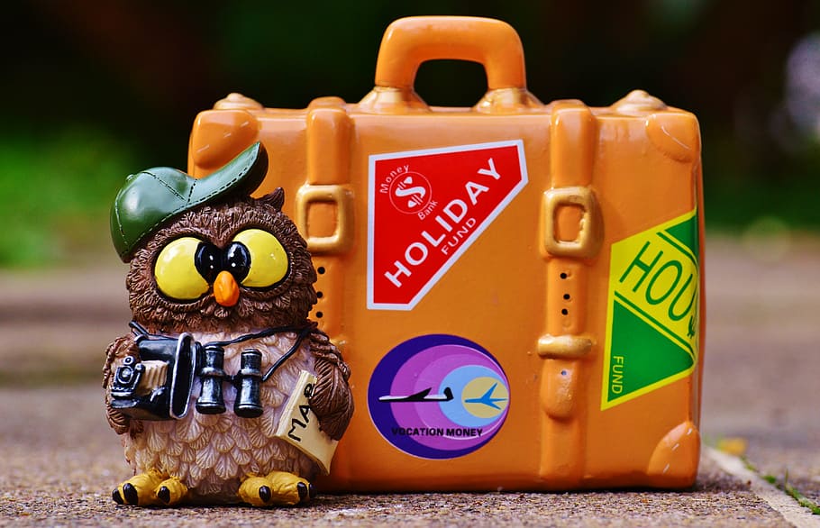 owl figurine beside lunch box, tourist, map, binoculars, camera HD wallpaper