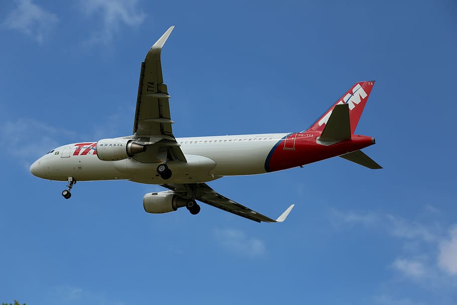 plane, tam, flying, commercial, aircraft, trip, take-off, sky HD wallpaper