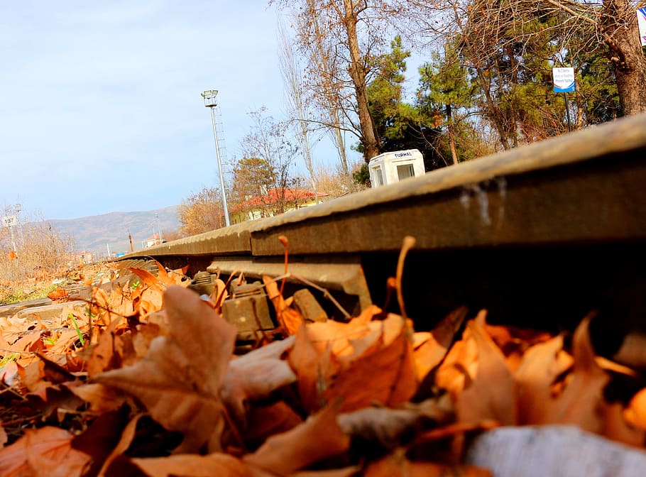 Leaves, Train, Train, Train Path, Rails, green, autumn, dry leaves HD wallpaper