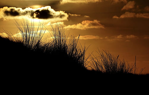 dawn, landscape, nature, sky, abendstimmung, afterglow, backlit HD wallpaper