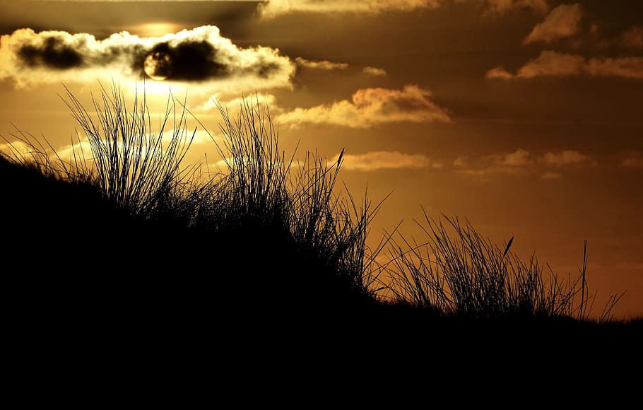 dawn, landscape, nature, sky, abendstimmung, afterglow, backlit HD wallpaper