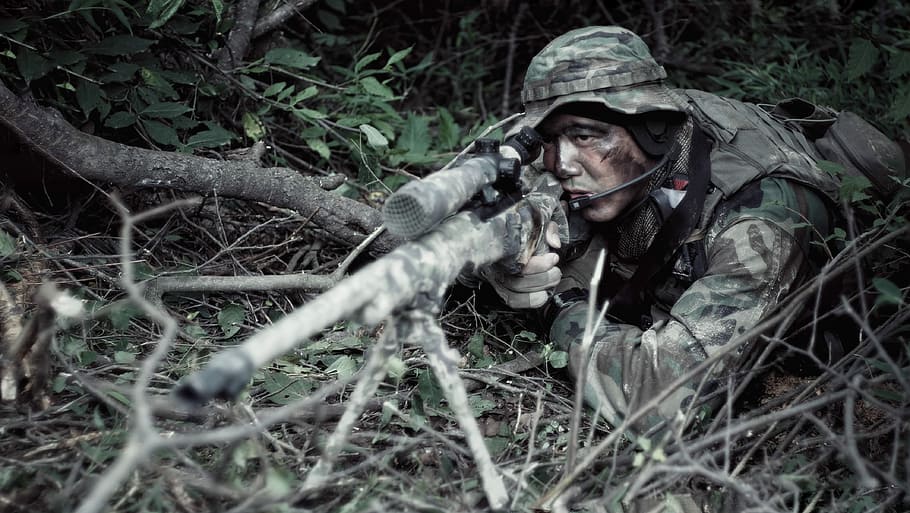 man sniping on forest, tree, woodland, male, plant, one animal HD wallpaper