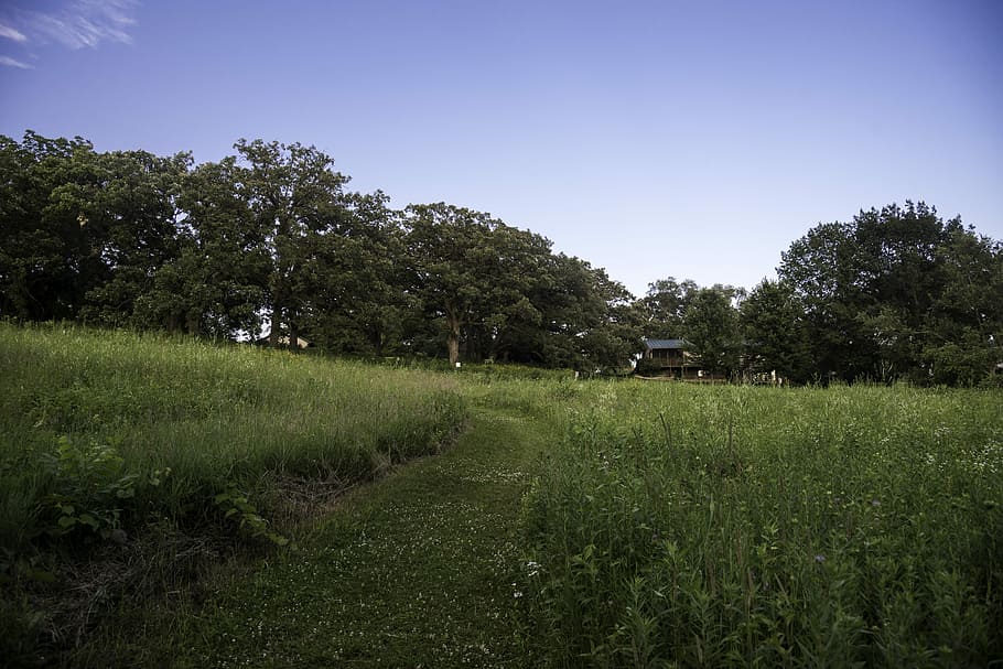 Path out of the Park at Stewart Lake County Park, grass, hiking HD wallpaper