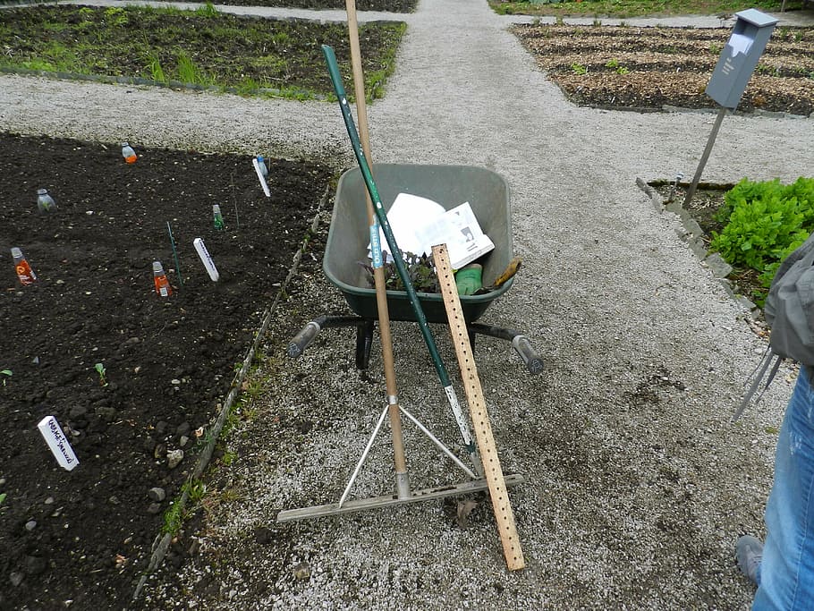 wheel barrow, rake, garden tools, gardening, wheelbarrow, gardener HD wallpaper