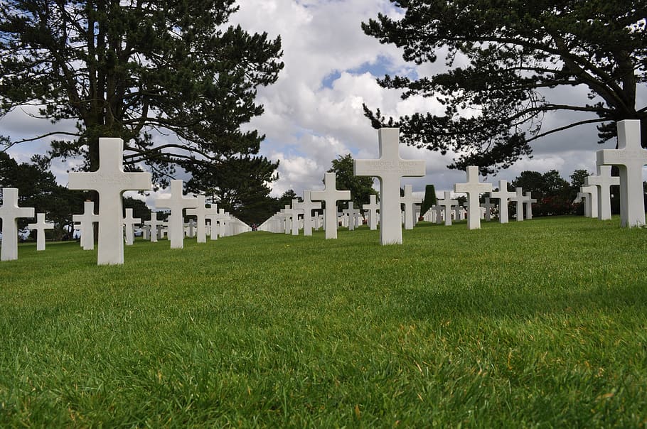cemetery, lawn, tree, falls, plant, grass, architecture, green color HD wallpaper