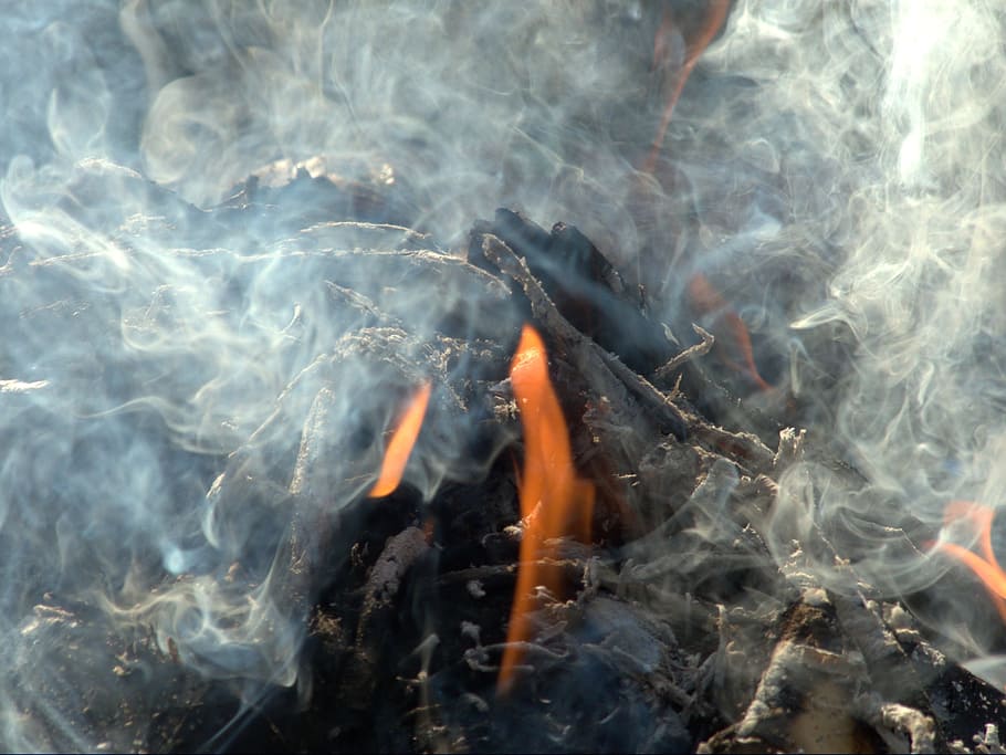 white smoke, fire, dangerous, hot, burning, blaze, glow, wood HD wallpaper
