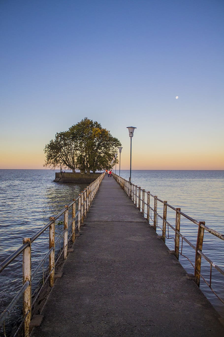 tree, costa, landscape, nature, river, views, sky, water, sea HD wallpaper