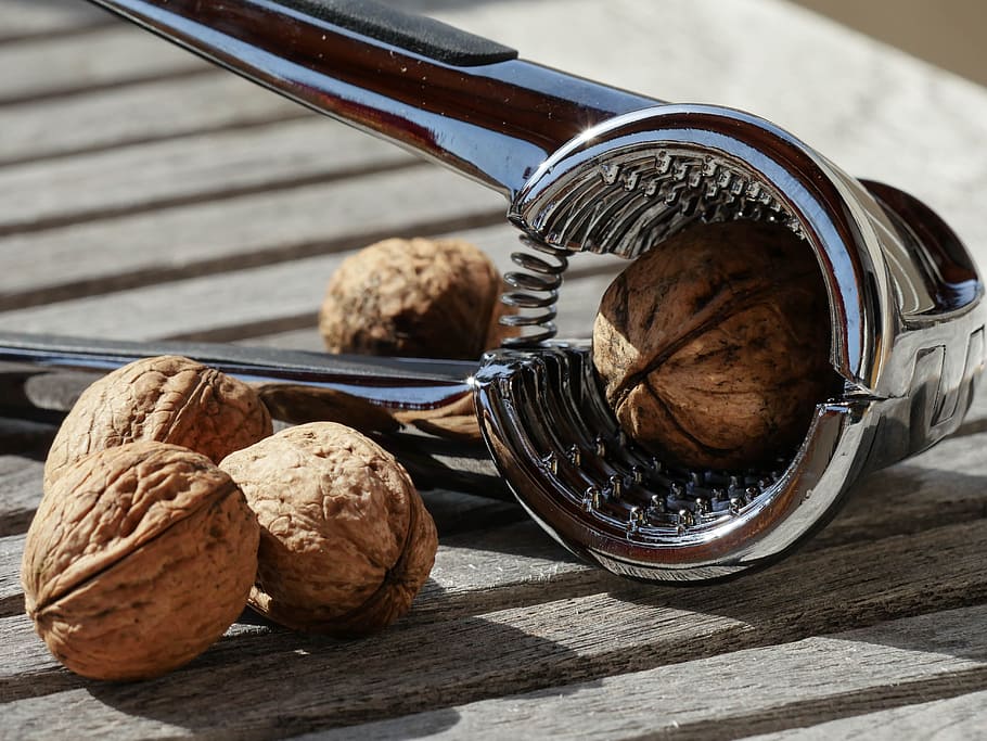 five brown nuts and stainless steel nutcracker on brown wooden surface HD wallpaper