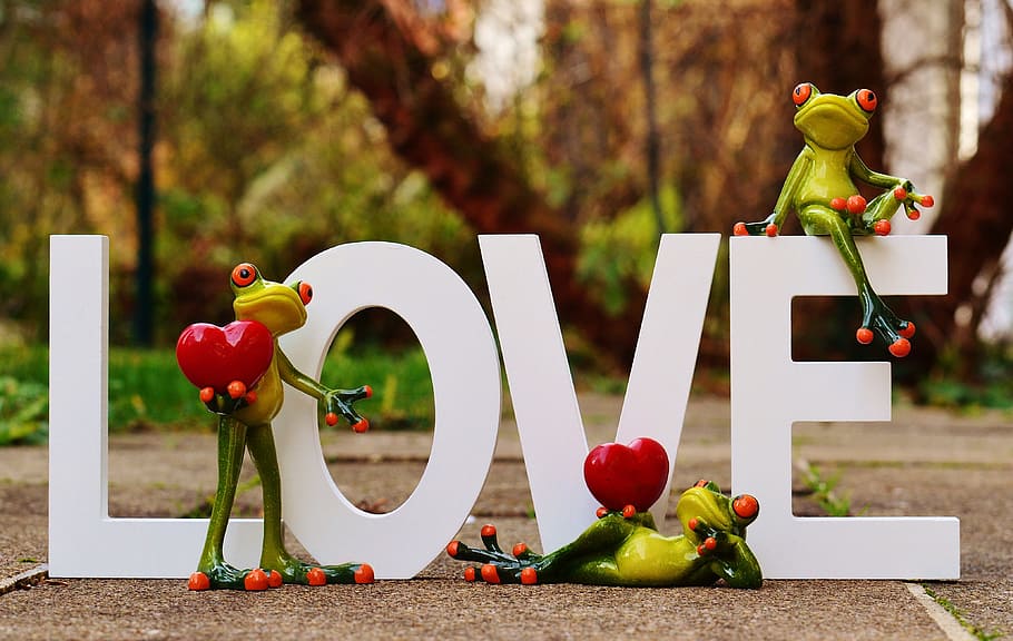 frogs, pair, love, valentine's day, pose, heart, funny, animal, HD wallpaper